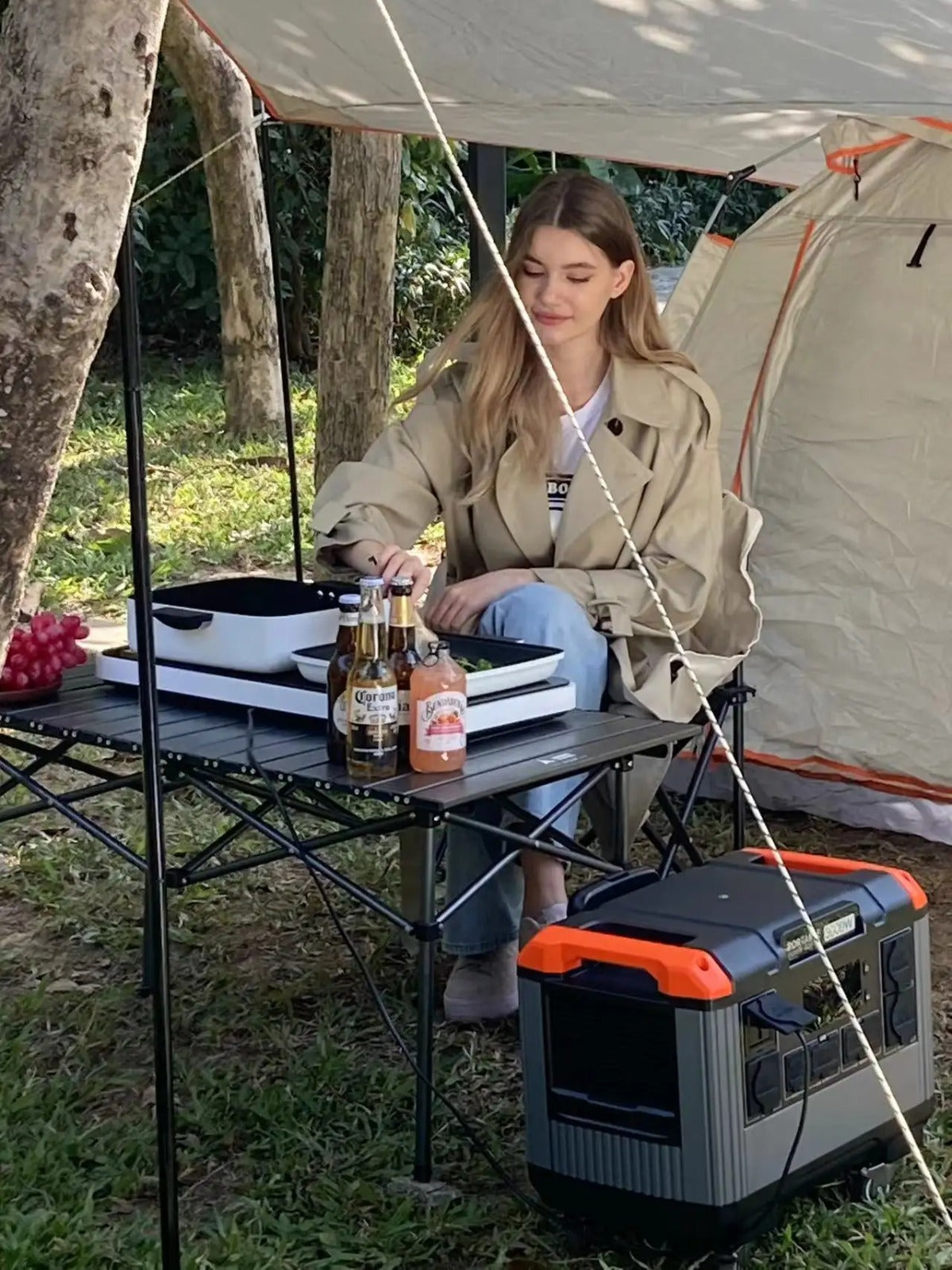 Moerdon Power Station